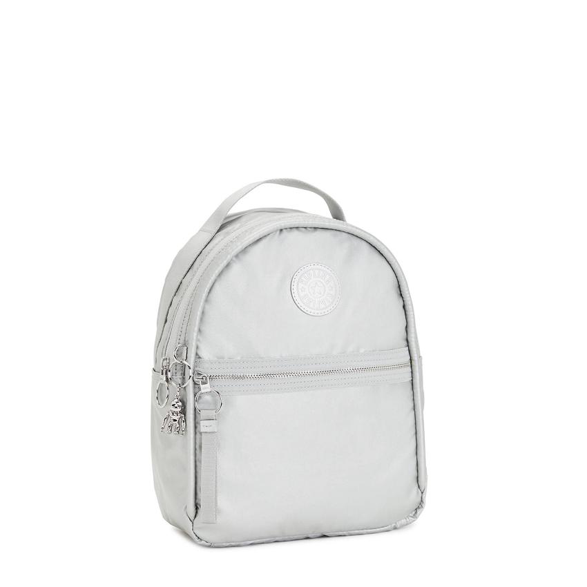 Kipling Kae Travel Backpacks Silver | IE_Ki1522S